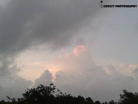 Cloud Cloud