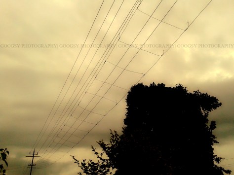 Electric Wires