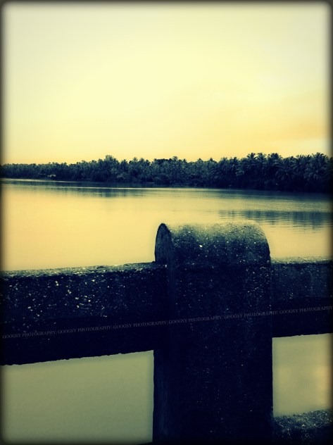 Bridge