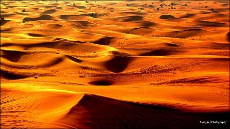 Desert