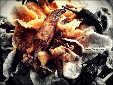 Fritters