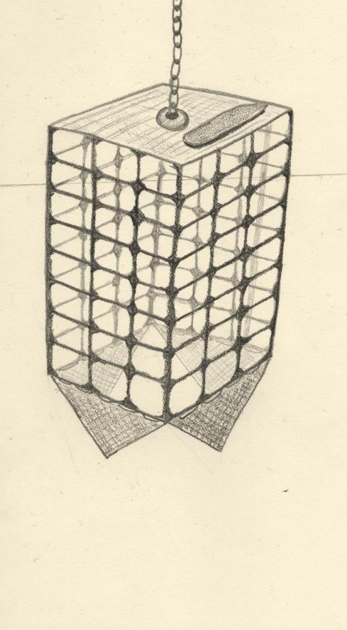 empty cage