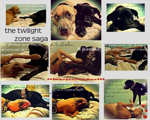 The Twilight Zone Saga