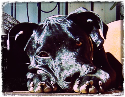 Baby Grimm Thinking