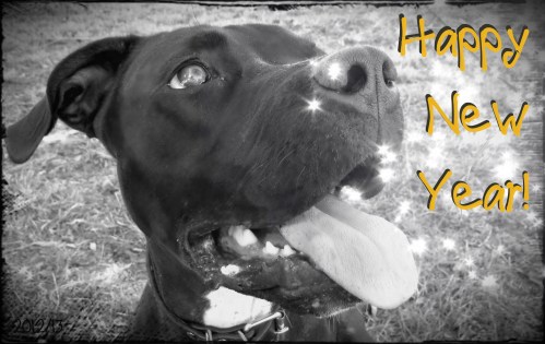 Happy New Year!