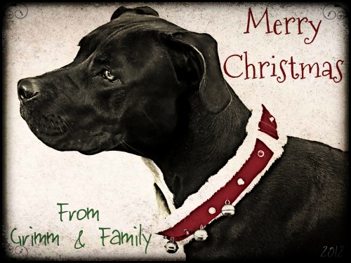 Merry Christmas 2012
