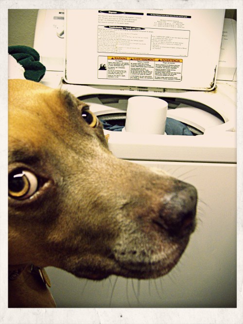 Zella Mans the Washer