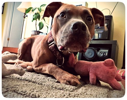 Zella was feeling a little paranoid that all her stuffed toys were going to leave her.