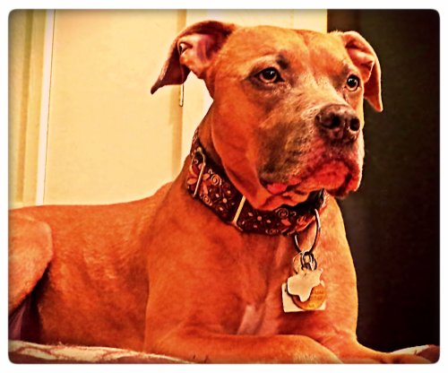 Zella was in a state of shock over the loss of two of her stuffed babies.