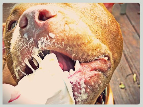 "I think I'll just eat the whole container, thank you very much. Nom...nom...nom..."