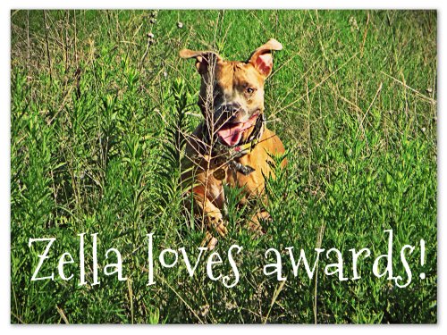 Zella loves awards