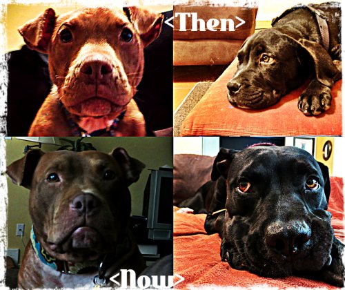 Then and Now