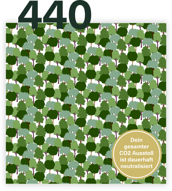 Plant 440 Trees - Climate Rockstar