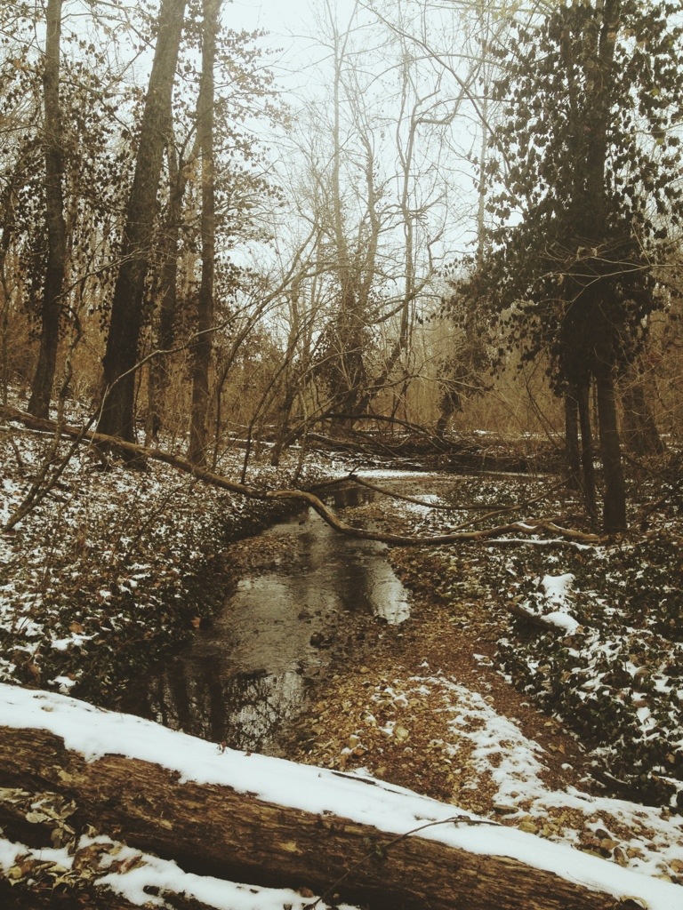 20140104-202708.jpg