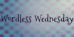 wordless_wednesday