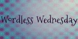 wordless_wednesday