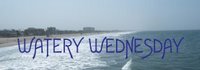 WateryWed2c.jpg
