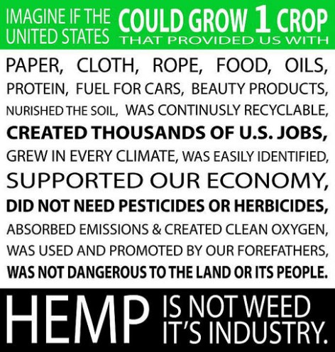 Hemp Super Crop Of The Future