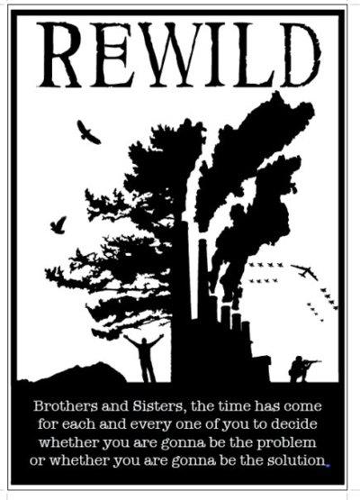 Rewild