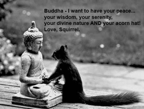 Buddha I Want To Have Your Peace Your Wisdom Your Serenity Your Divine Nature And Your Acorn Hat Love Squirrel