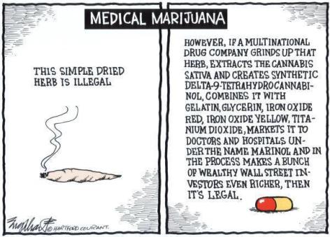 Medical Marijuana The Simple Dried Herb Is Illegal