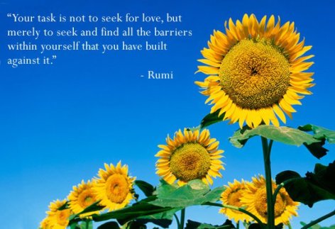 Your Task Is Not To Seek For Love But Merely To Seek And Find All The Barriers Within Yourself That You Have Built Against It Rumi