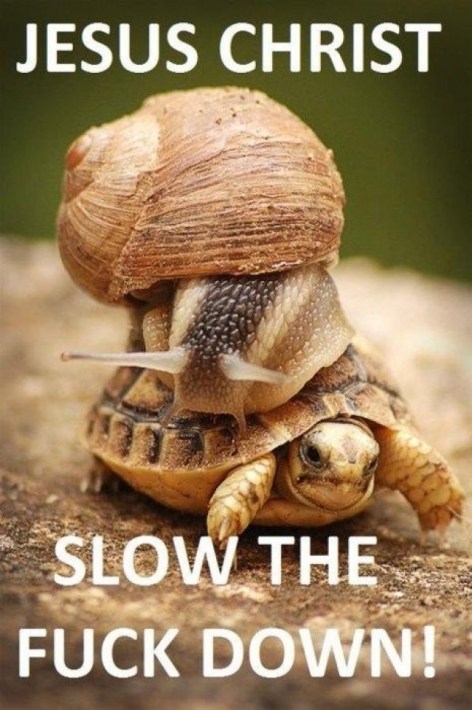 Jesus Christ Slow The Fuck Down