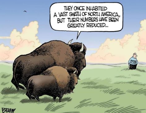 They Once Inhabited A Vast Swath Of North America But Their Numbers Have Been Greatly Reduced Middle Class