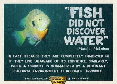 Fish Did Not Discover Water Marshall McLuhan In Fact Because They Are Completely Immersed In It They Live Unaware Of Its Existence Similarly When a Conduct Is Normalized By A Dominant Cultural Environment It Becomes
