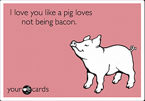 I Love You Like A Pig Loves Not Being Bacon