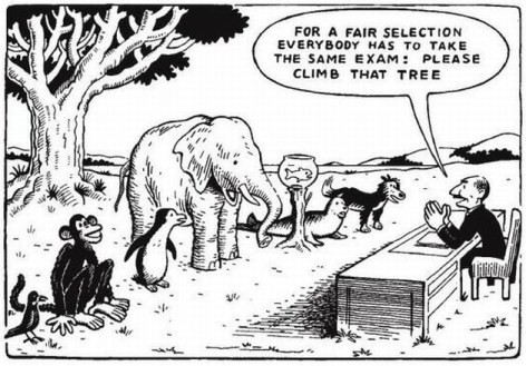 For A Fair Selection Everybody Has To Take The Same Exam Please Climb That Tree
