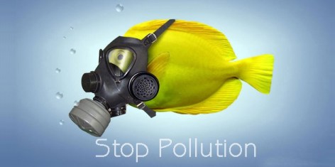 Stop Pollution Yellow Fish Wearing Respirator