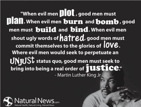Dr Martin Luther King Jr Evil Men Plot Good Plan