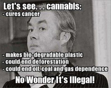 Let's See Cannabis Cures Cancer