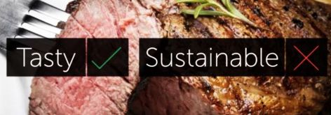 Meat Tasty Yes Sustainable No