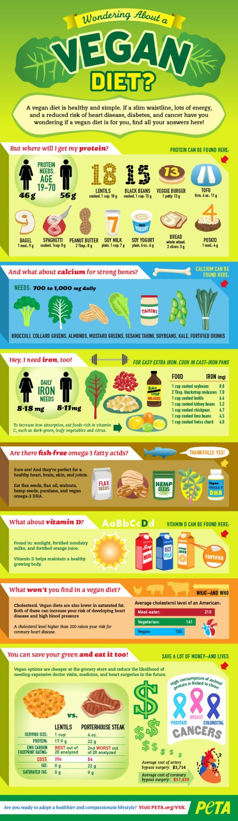 Wondering About A Vegan Diet