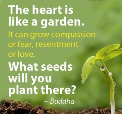 Buddha The Heart Is Like A Garden