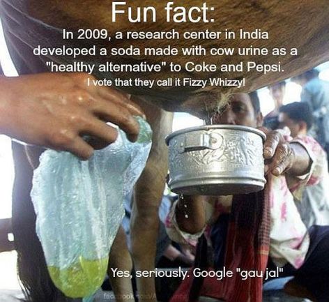 Gau Jal Fun Fact In 2009 A Research