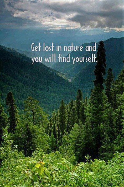 Get Lost In Nature And You Will Find Yourself