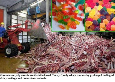 Did You Know Gummies Or Jelly Sweets Are Gelatin Based Chewy Candy Which Is Made By Prolonged Boiling Of Skin Cartilage And Bones From Animals
