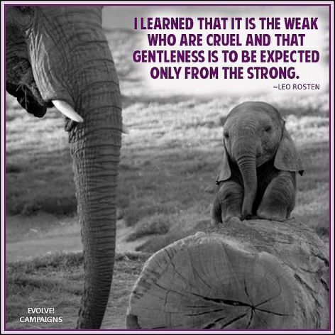 Leo Rosten I Learned That It Is The Weak