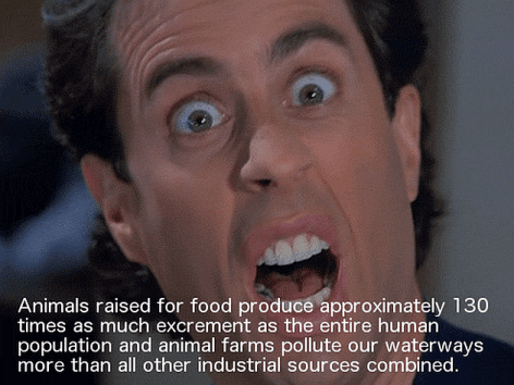 Animals Raised For Food Produce Approximately