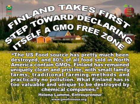 Helena Lumme The US Food Source Has