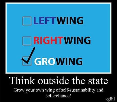 Think Outside The State Grow Your Own Wing