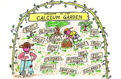 Welcome To The Calcium Garden