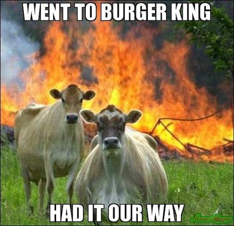 Went To Burger King Had It Our Way