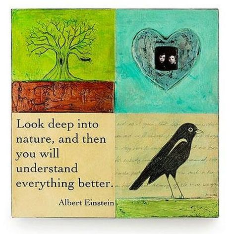 Albert Einstein Look Deep Into Nature And Then You Will Understand Everything Better
