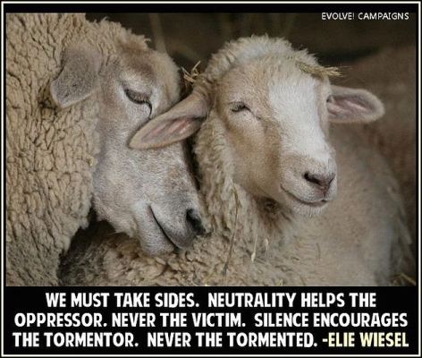 Elie Wiesel We Must Take Sides Neutrality