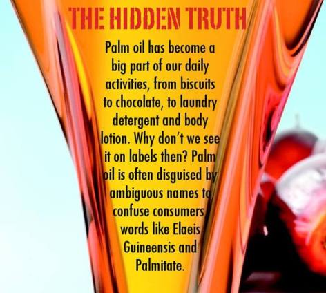The Hidden Truth Palm Oil Has Become