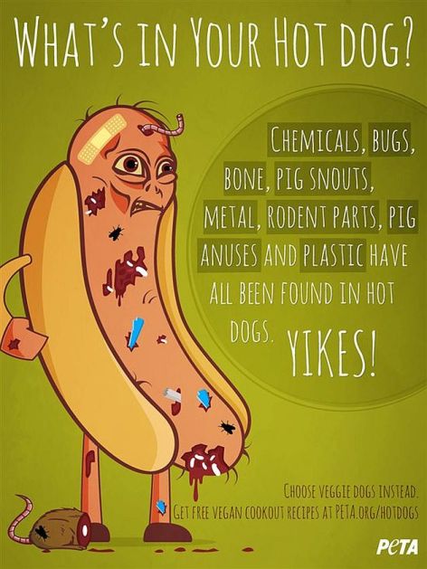 What's In Your Hot Dog Chemicals, Bugs, Bone, Pig Snouts, Metal, Rodent Parts, Pig Anuses And Plastic